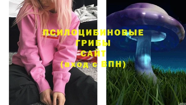 гашиш Новозыбков