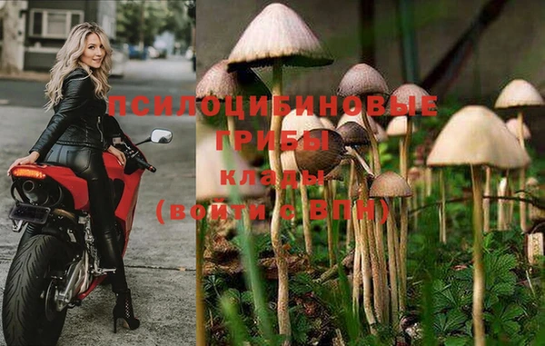 гашишное масло Новокубанск
