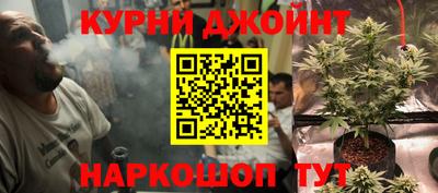 стаф Жуковский