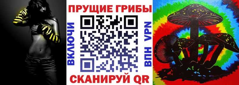 Галлюциногенные грибы Psilocybine cubensis Лысьва