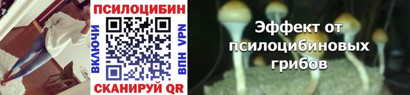 Галлюциногенные грибы Psilocybe  Лысьва 