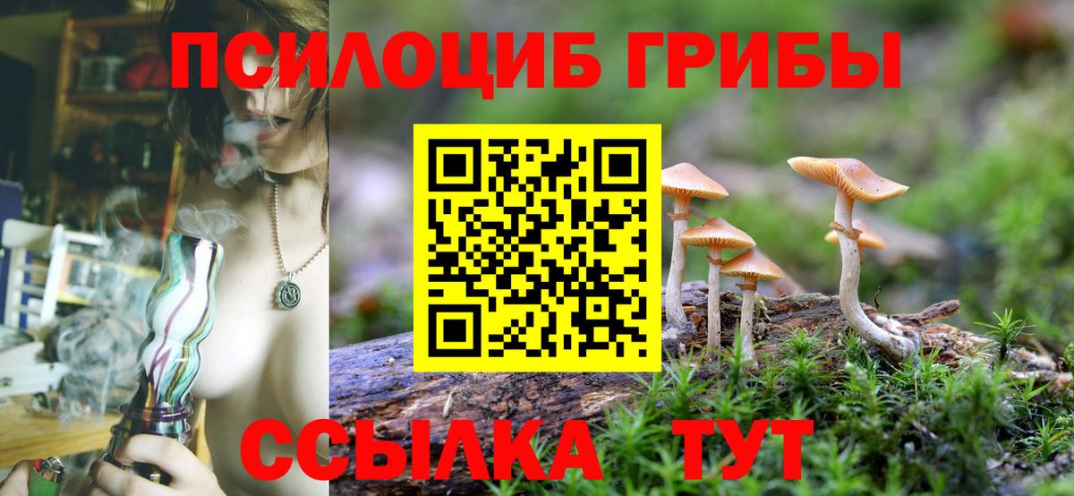 Галлюциногенные грибы Psilocybine cubensis Лысьва
